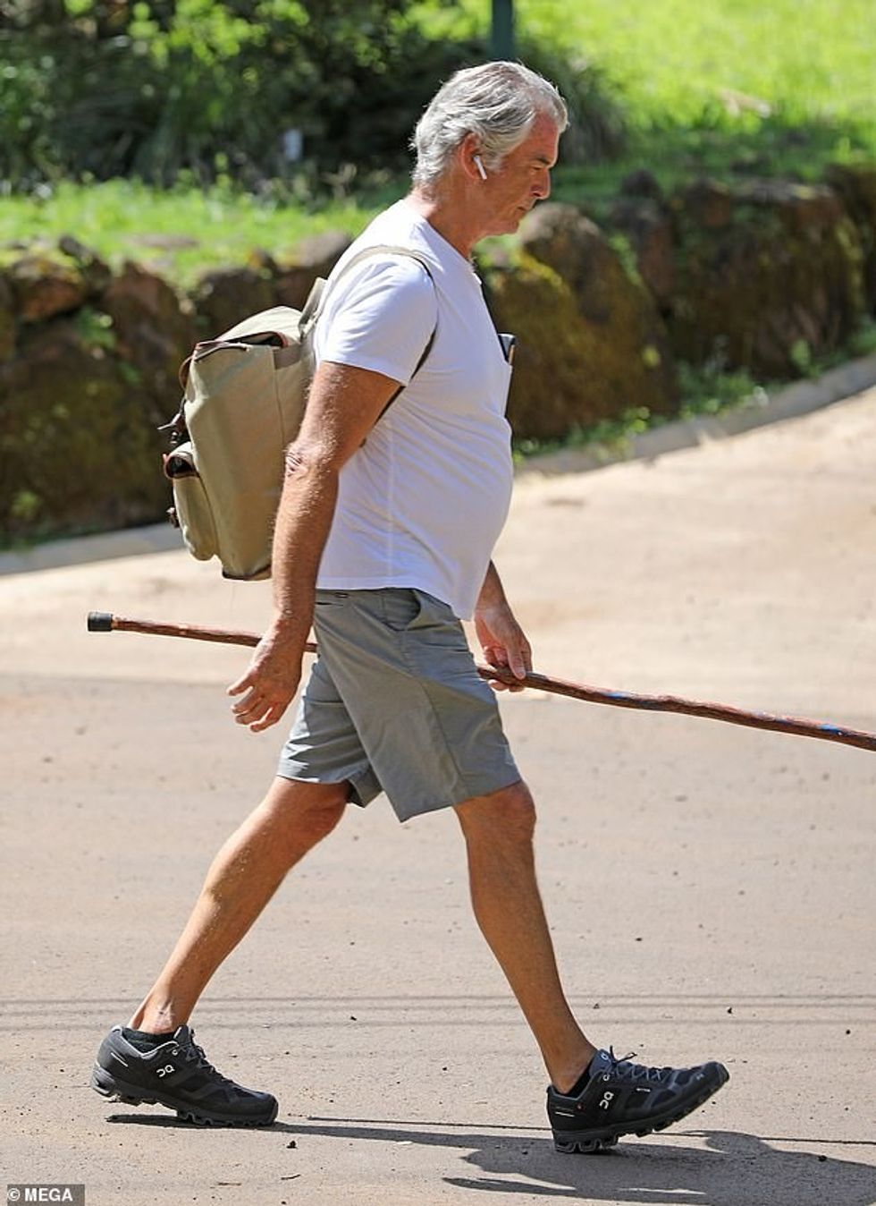 27451346 8239783 image m 33 1587457062356