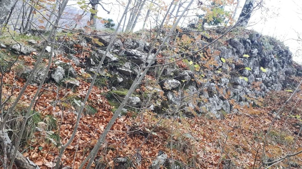 274600752 274784748129276 1783368637948302664 n