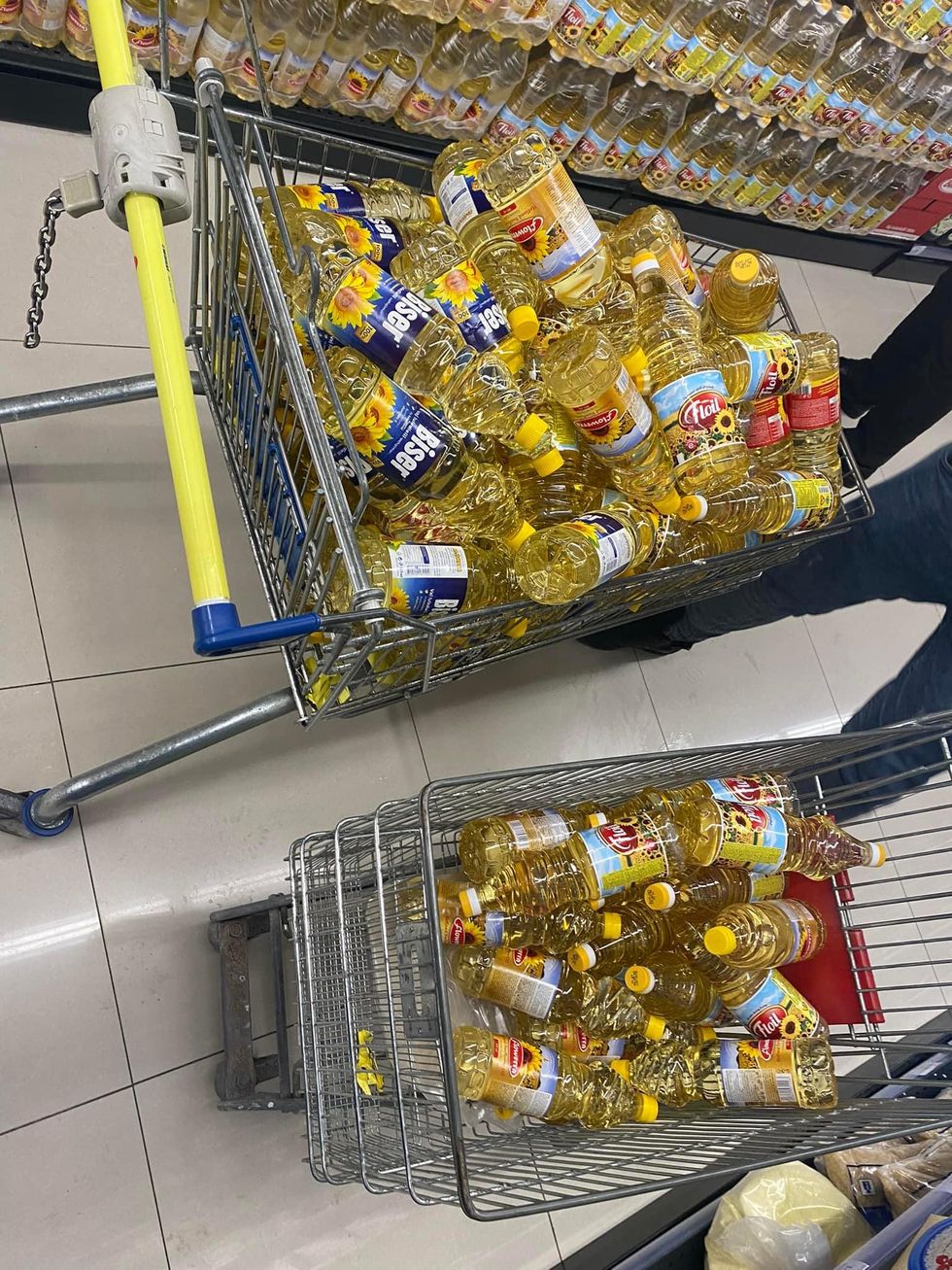 275550104 10221935912363020 7753395228272067480 n