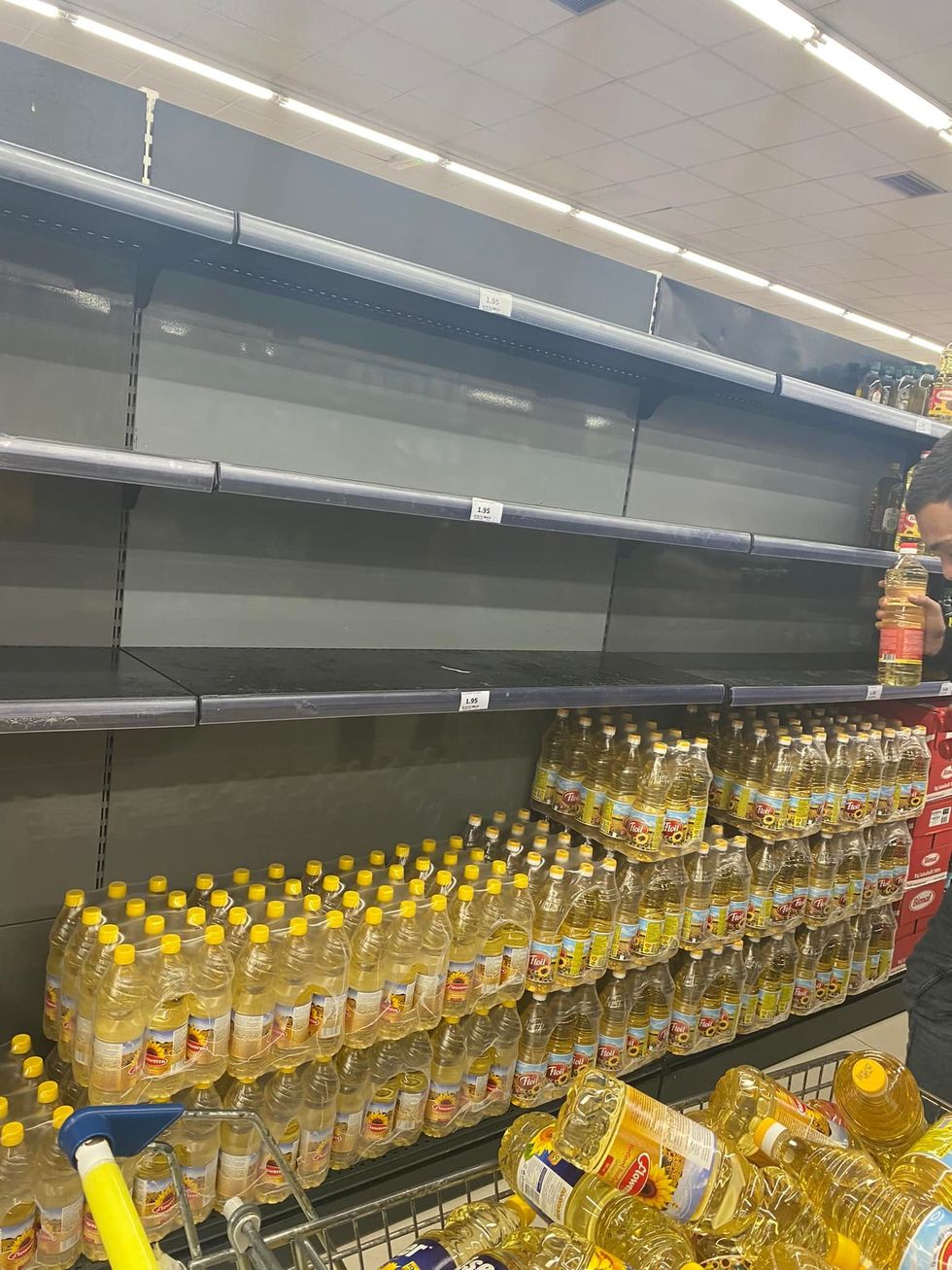 275608876 10221935910842982 7681905548496855337 n