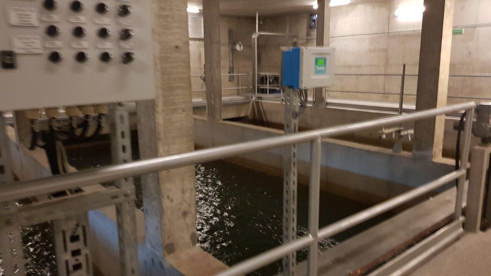 27785227 10214879072746322 187539981 o