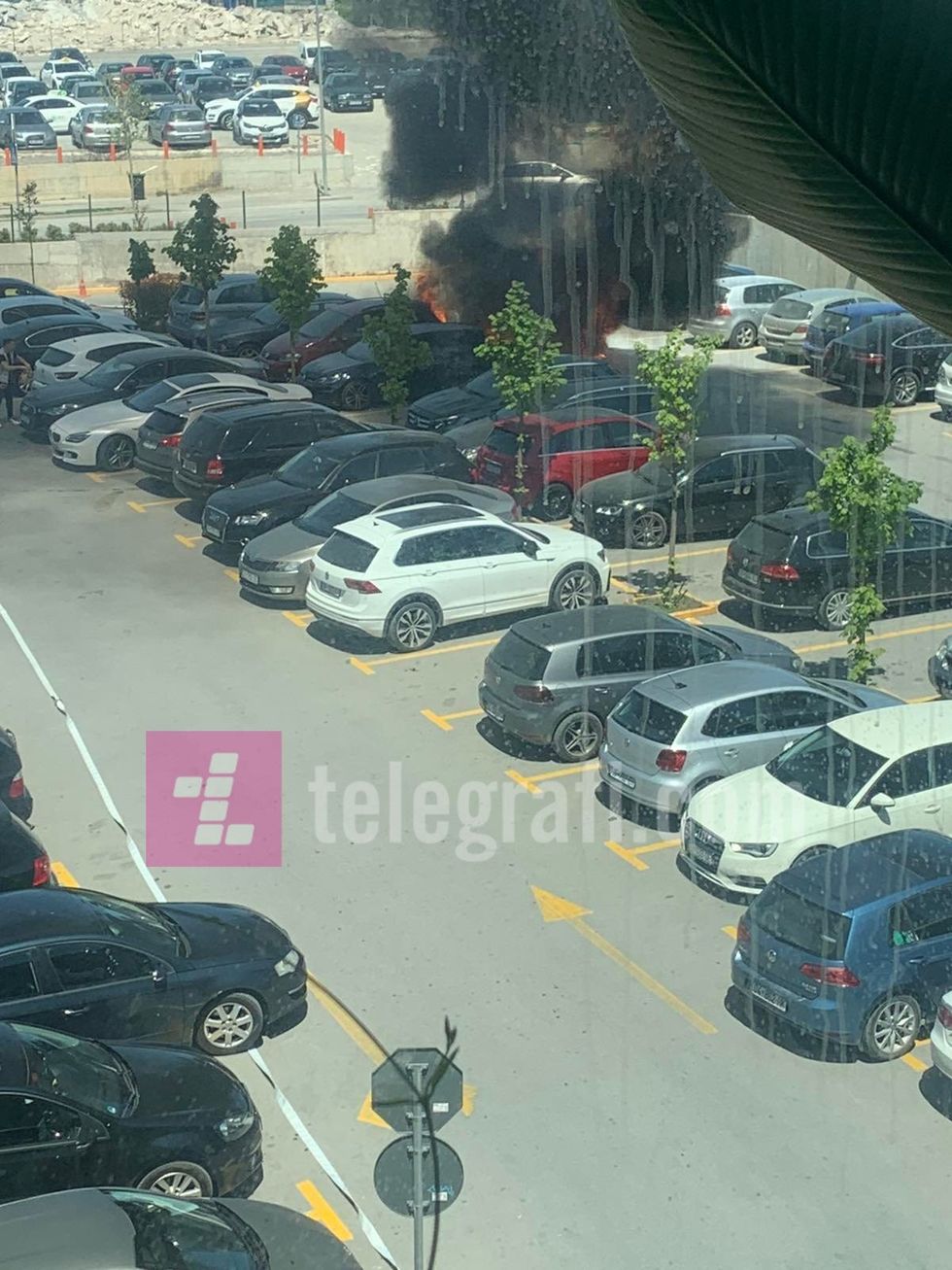 278112863 1637740689937201 2007557229658218736 n 1