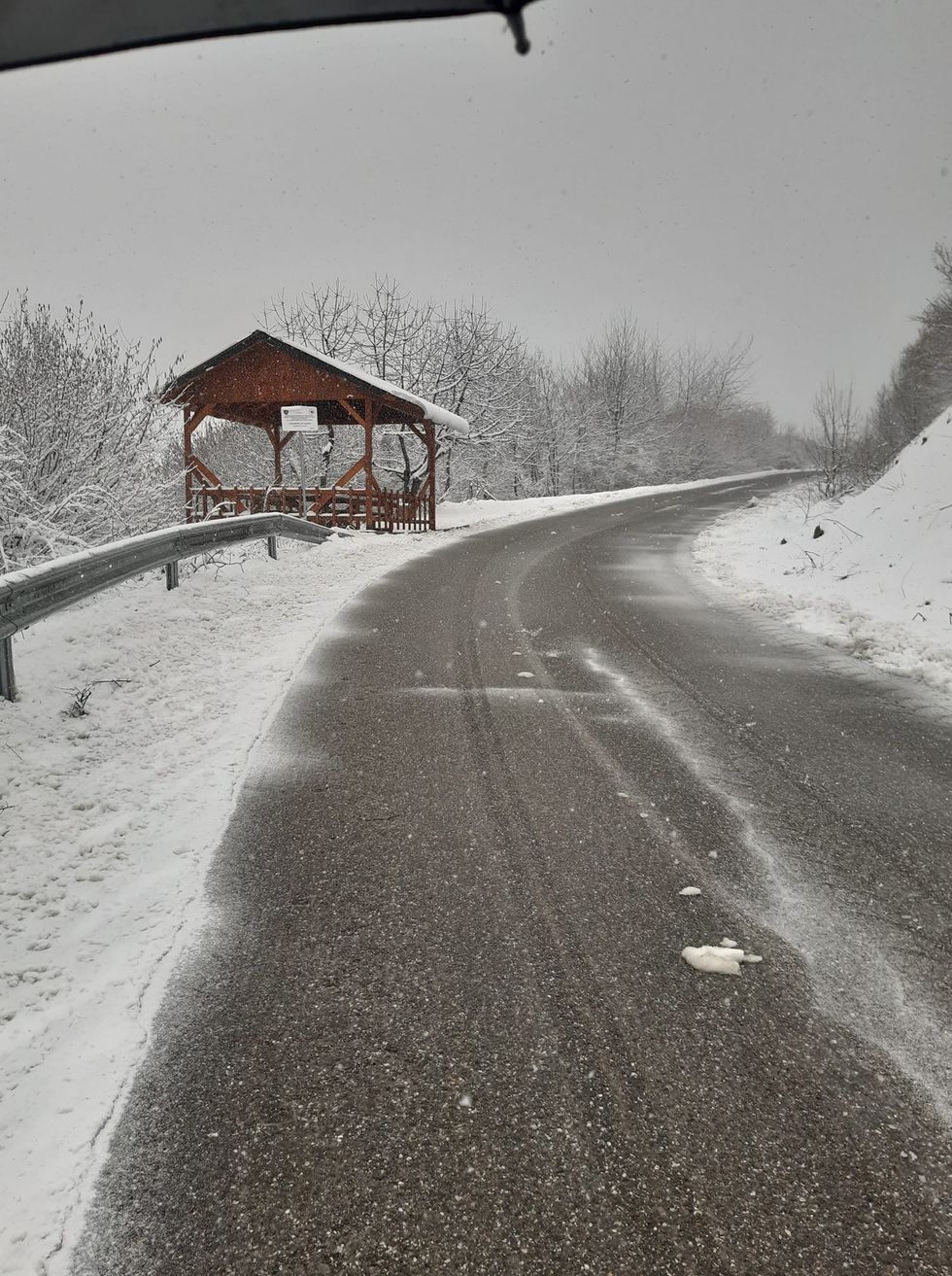 278209398 7164706680270597 8083311950878192312 n