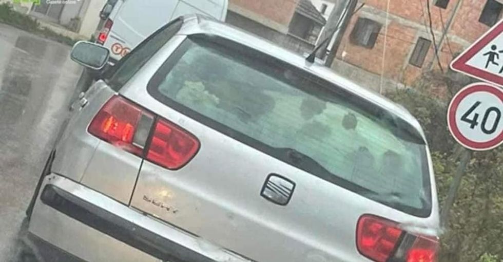 278572813 3339391876283993 2665359639557694374 n