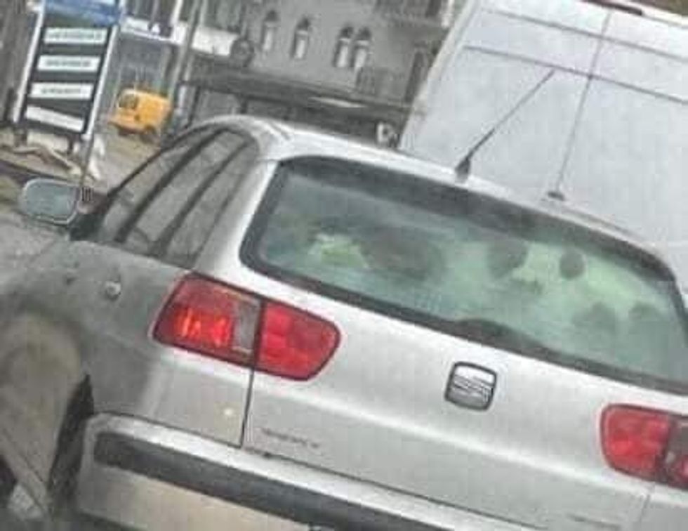 278580906 3339391859617328 5649961043503695353 n