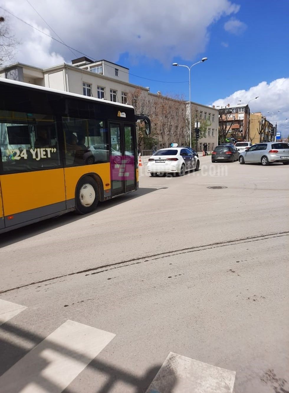 278900454 1186994118579382 5172107402061232051 n 1