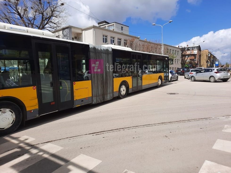 278919456 2137444983083802 7651330941447447557 n