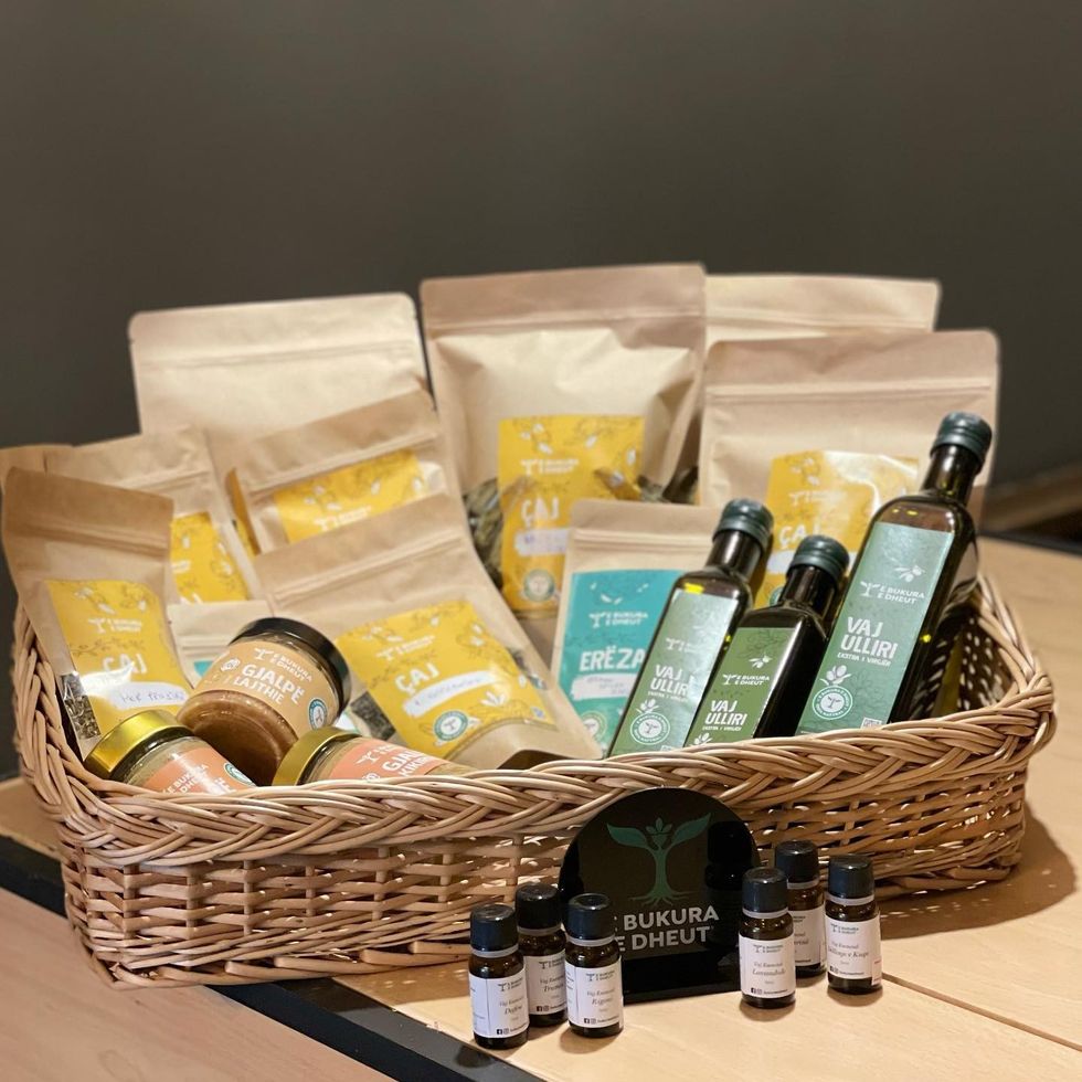 279442285 513697820502771 7861315667953245494 n