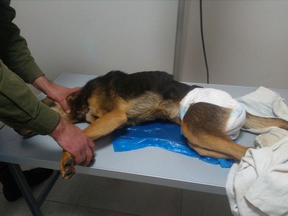 28033578 549968745369963 1628005708 o