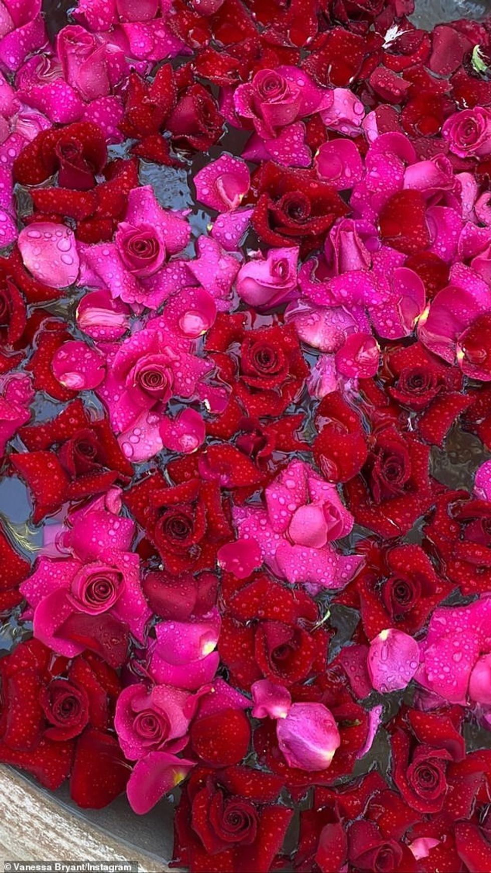 28053368 8291165 Gorgeous She shared a lovely closeup of the flowers floating in a 51 1588731805836