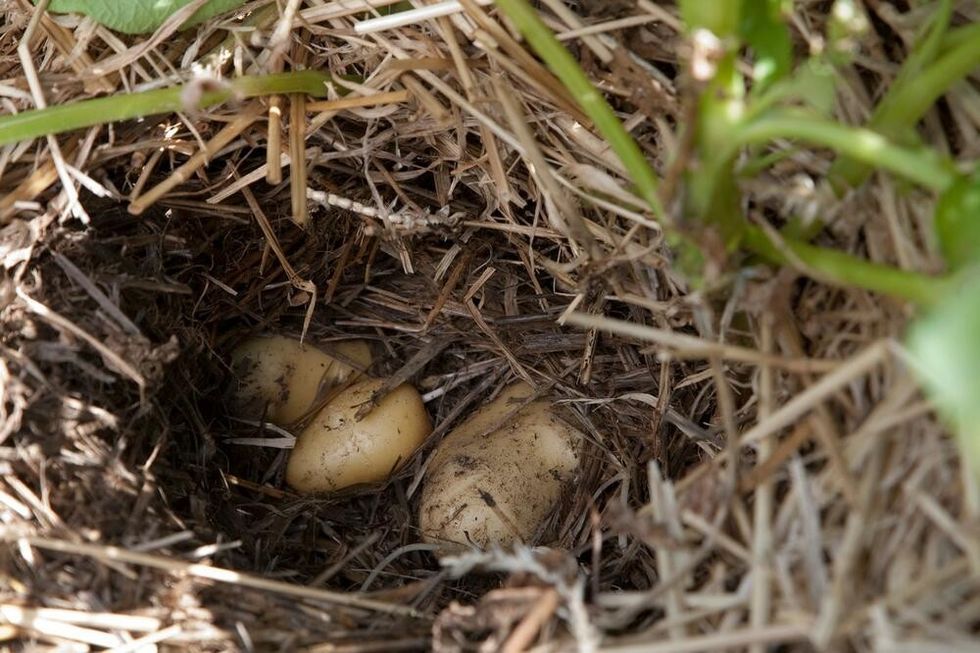 280587 profimedia02874987