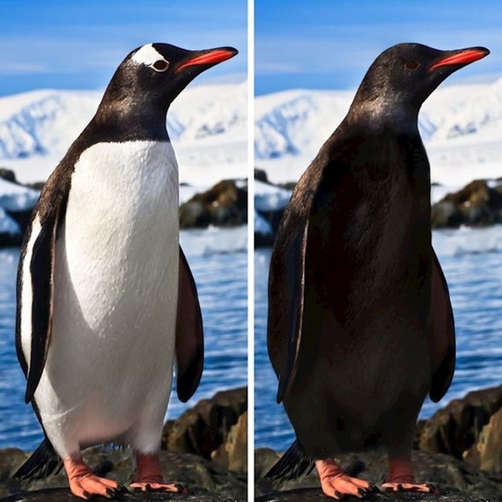 28178663 39b5 45dc 8f29 050a0405e4ee