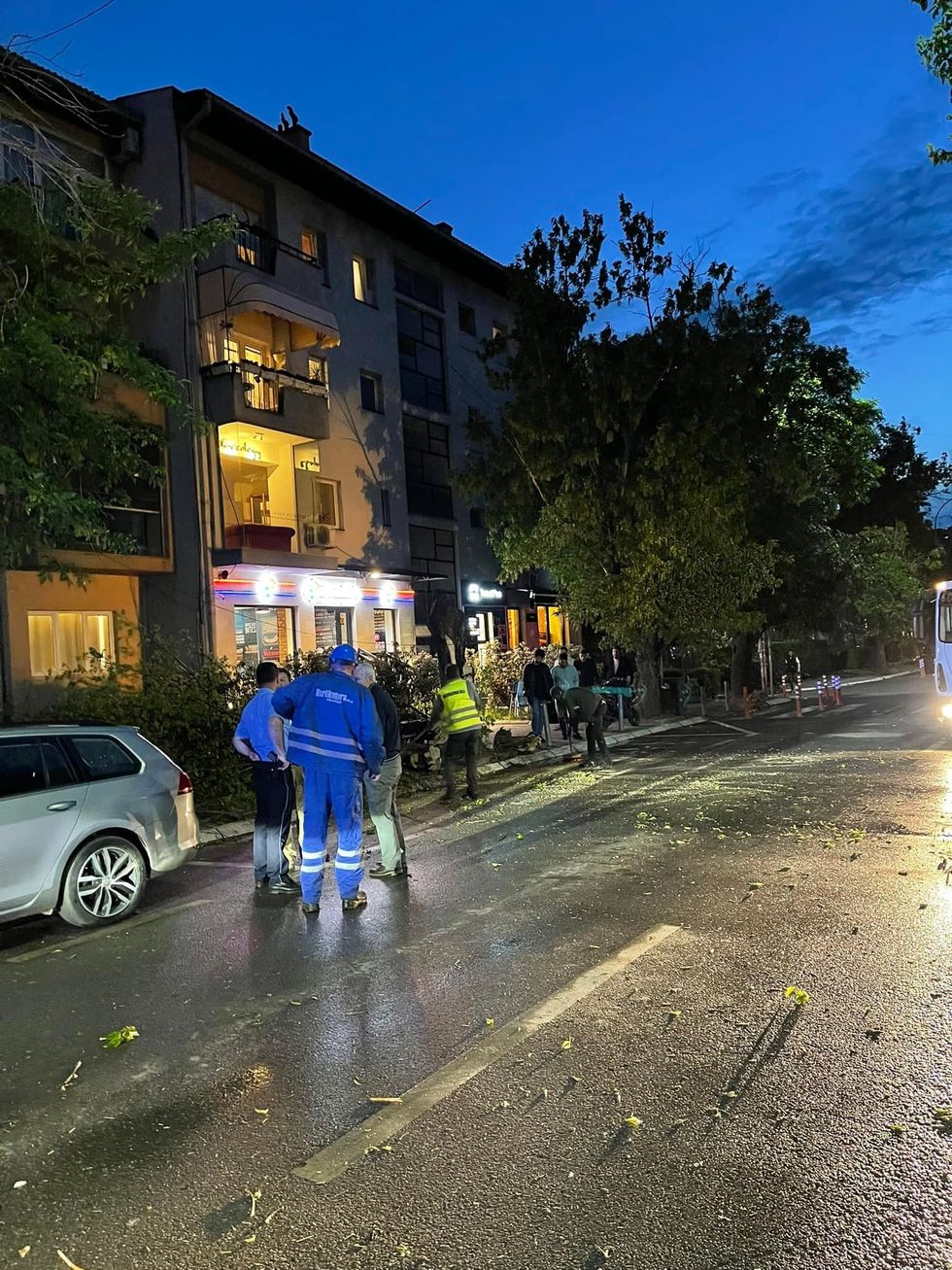 282053552 129513236397688 3290392453718989429 n