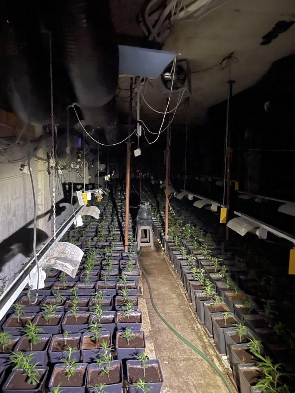 283644001 405513334918282 3419757716297994214 n