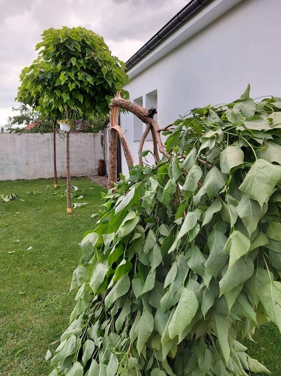 287523185 1785086135161897 1535834354107711303 n