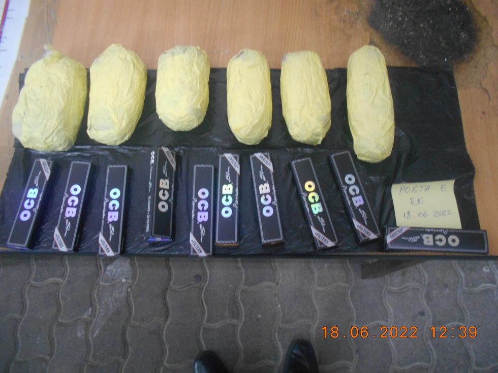 287649058 1237471257028623 5390200246824645679 n