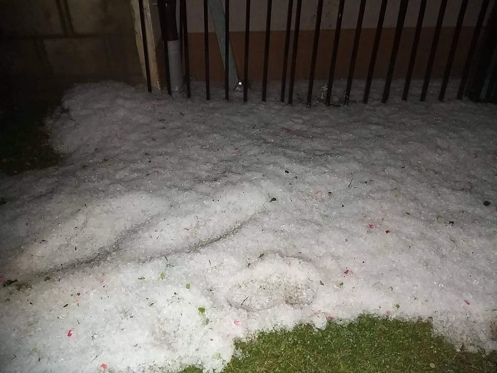 289269582 5694587087222830 6103863796734035103 n