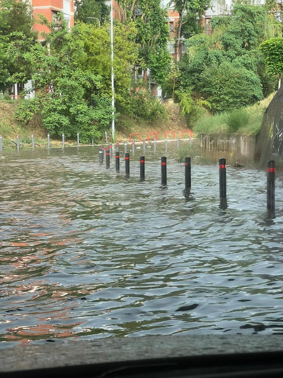 289311938 1067291164182029 3769292762972353191 n