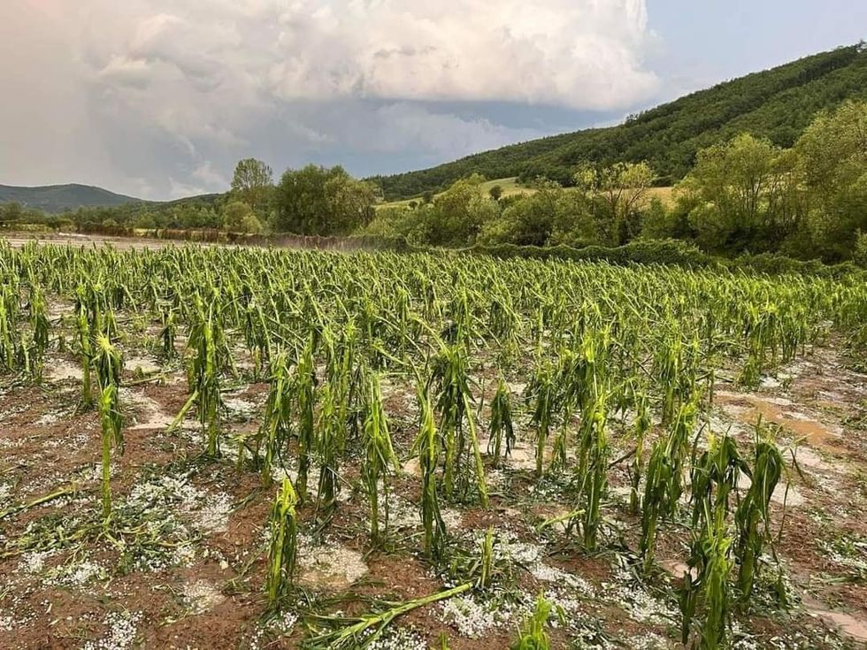 289588661 135543525781621 257727626341747867 n