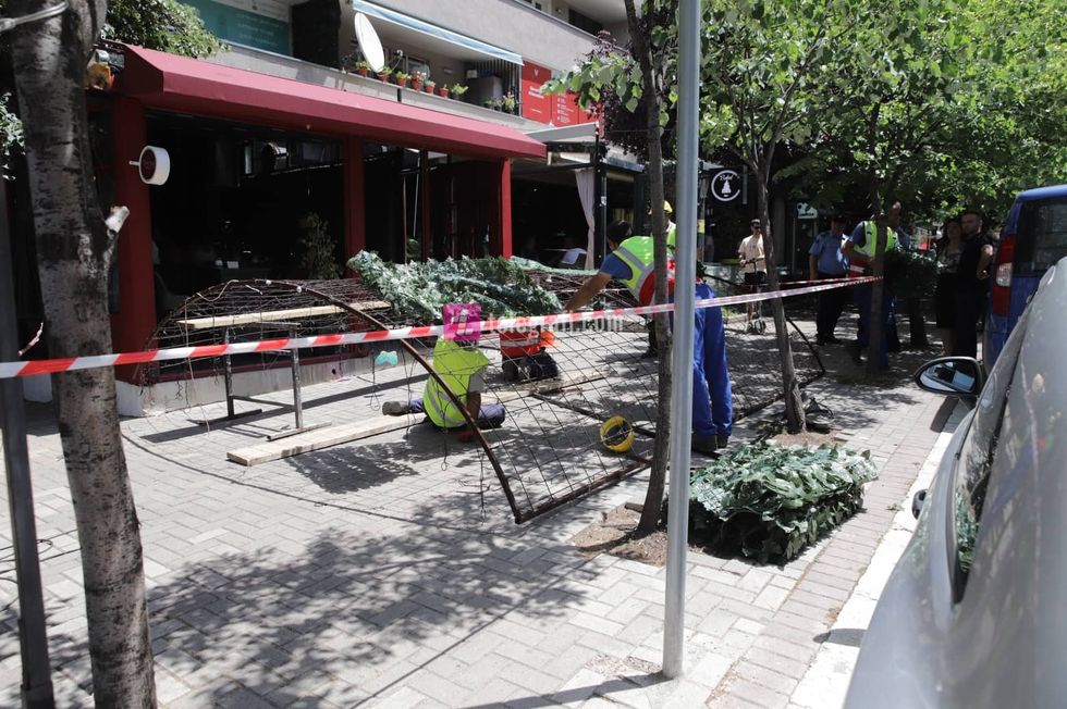 290164364 1045117169713126 2742647047736612971 n 1