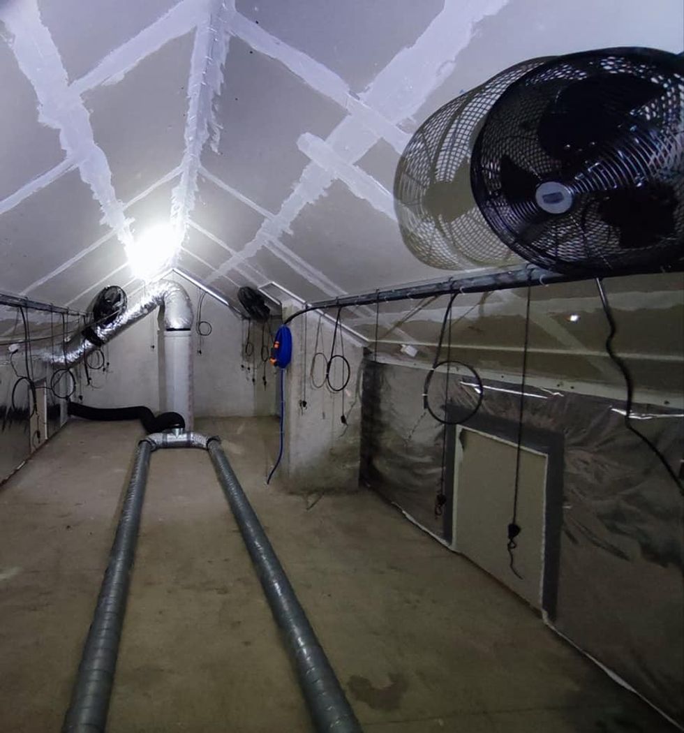 290237999 327376029602662 641977996097390939 n 1