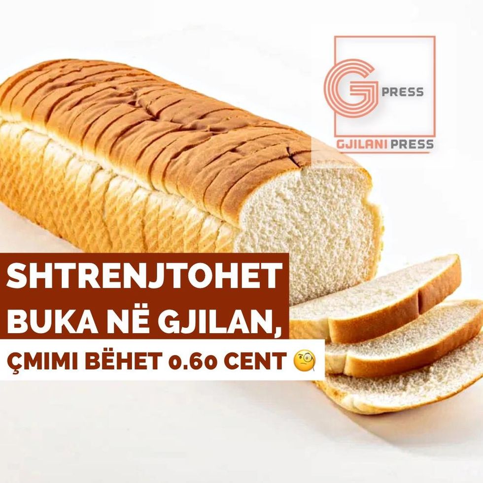 290244059 4946986978743829 7952232508571454156 n