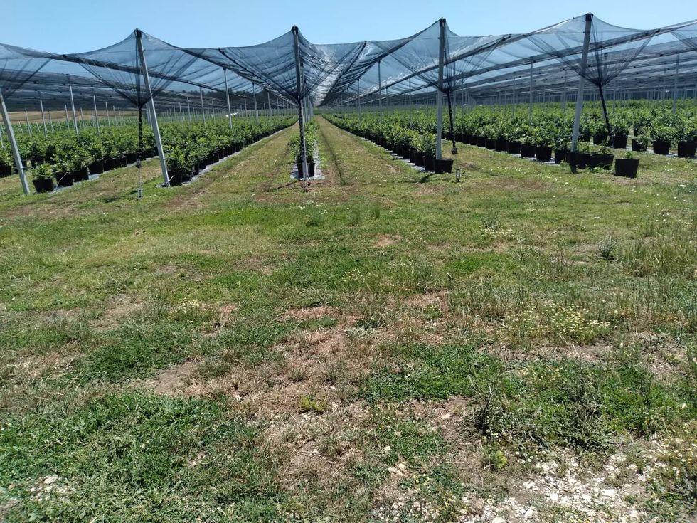 290450529 749637439679617 2884239701153350573 n