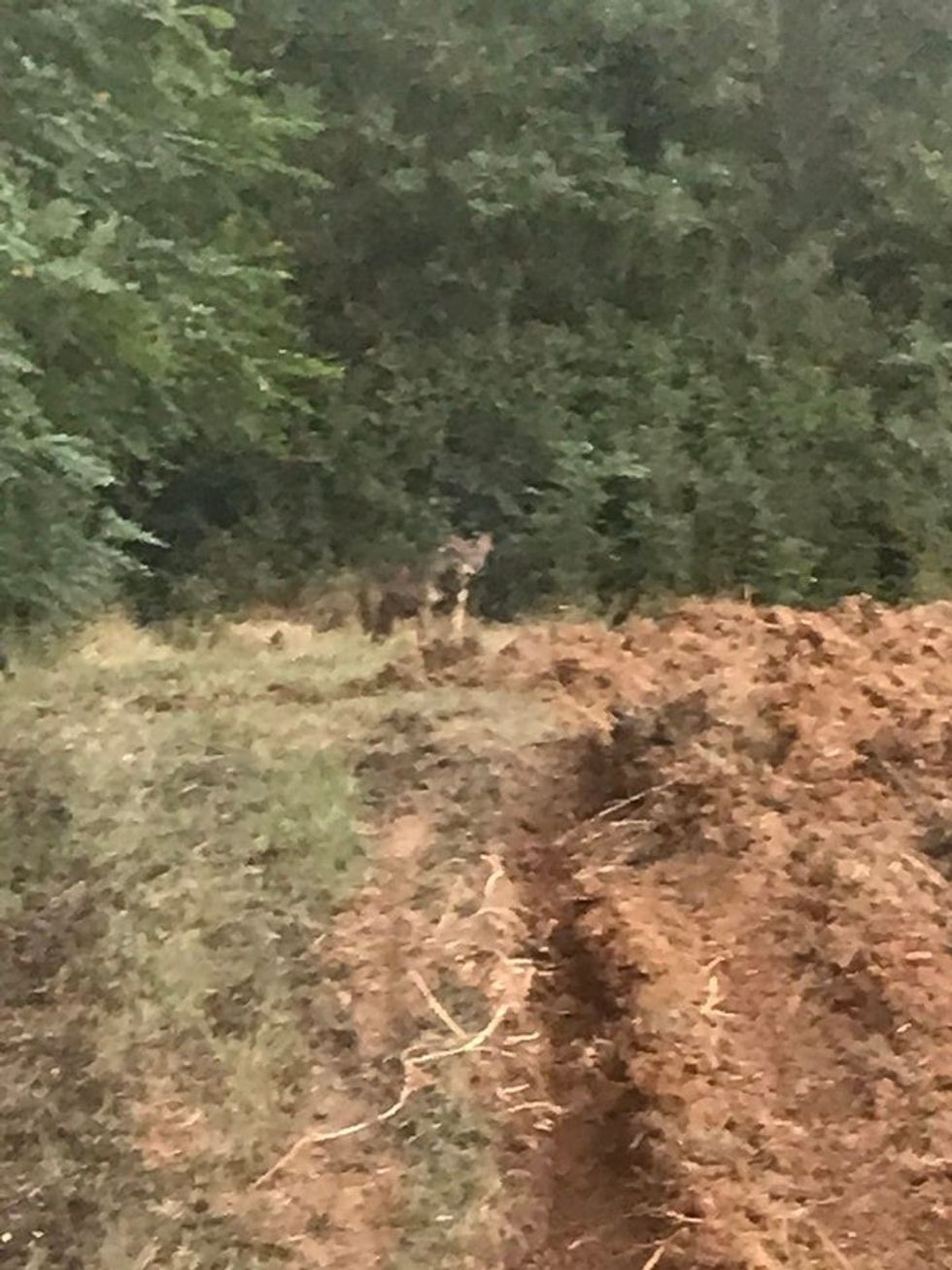 290799741 5014167148710555 3515968191059803338 n 1