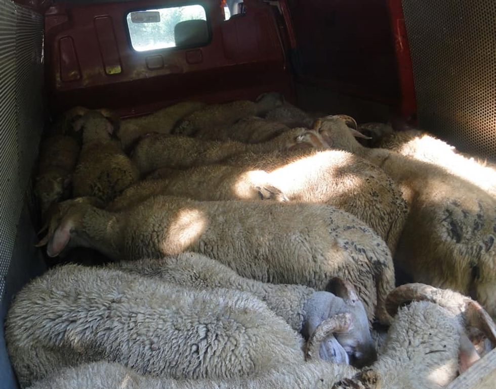 291818523 331475732526025 2205859744980312552 n