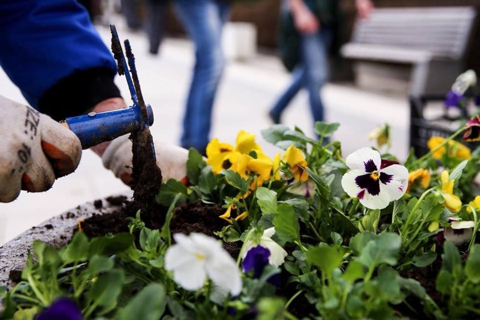 29214557 10157246619512166 3622413071424684032 n