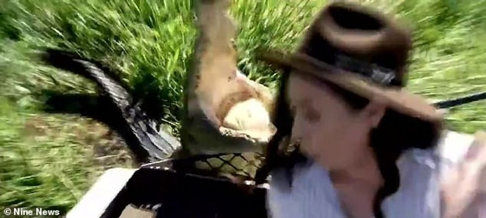 29256822 8391347 image m 26 1591349930400 1