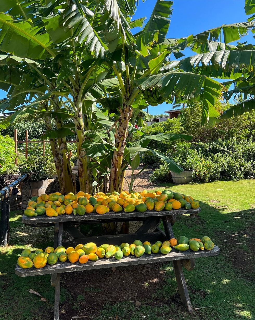 293028650 168347255692304 174737735756574444 n