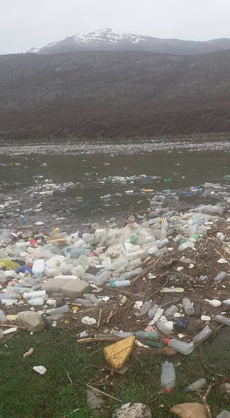 29315219 1816537055087256 34287574327492608 n 1521392216 8692171