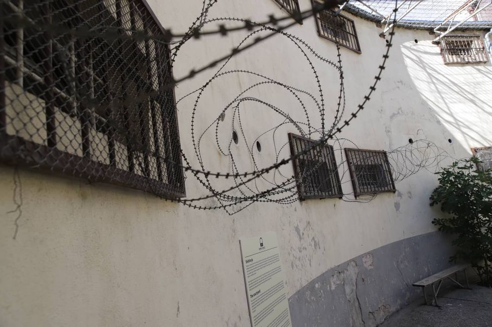 293241996 994377424568682 5819777948052934748 n