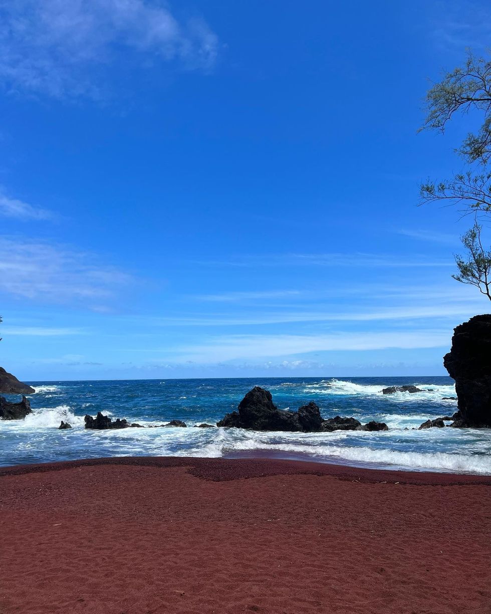 293376796 1291245491282343 449077519686153195 n