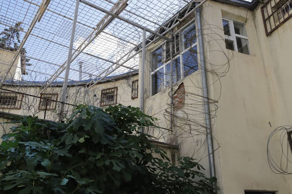 293389802 1842597115947341 8592432029612329853 n