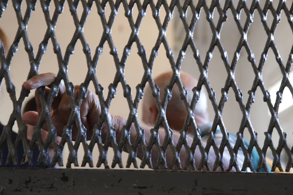 293392077 733802014404511 3641155539690683768 n