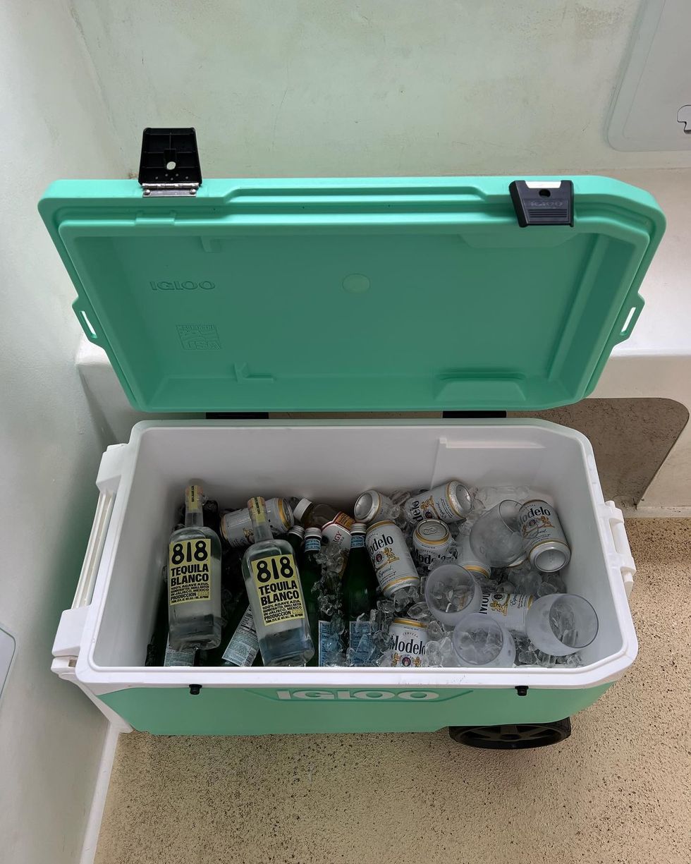 293541887 585556176493678 8148944264153020491 n