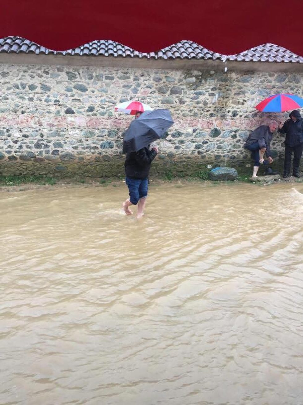 29425741 1276607099136621 7068639699534872576 n