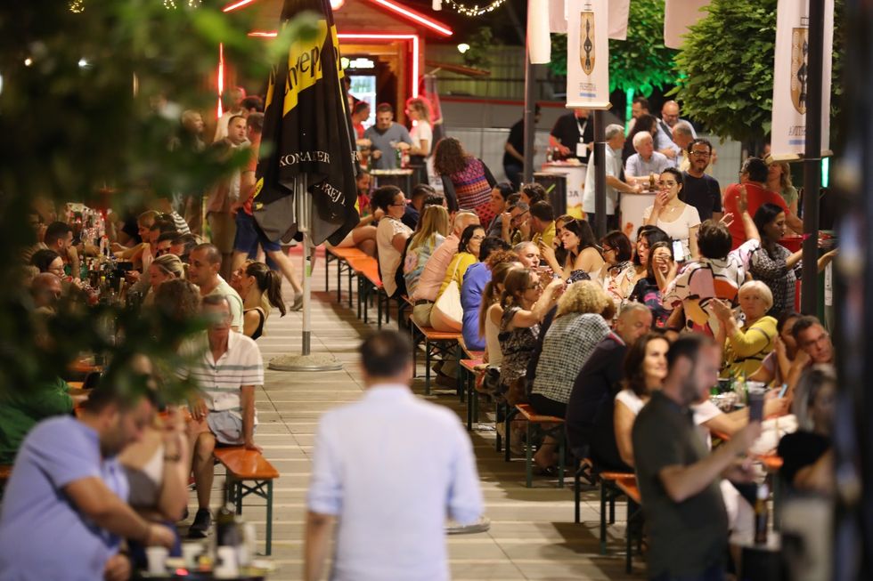 294586012 481601280632434 4711901087876661193 n