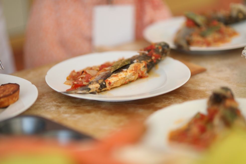 294687497 480859644039931 2232597026746375508 n