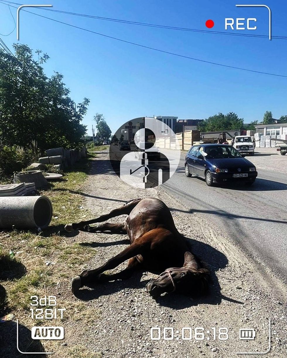 294709409 464292345702031 2944528933137977663 n