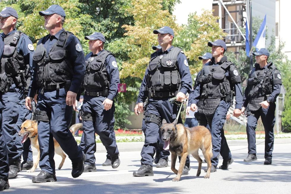 294830175 577741670733591 3895662723694443003 n