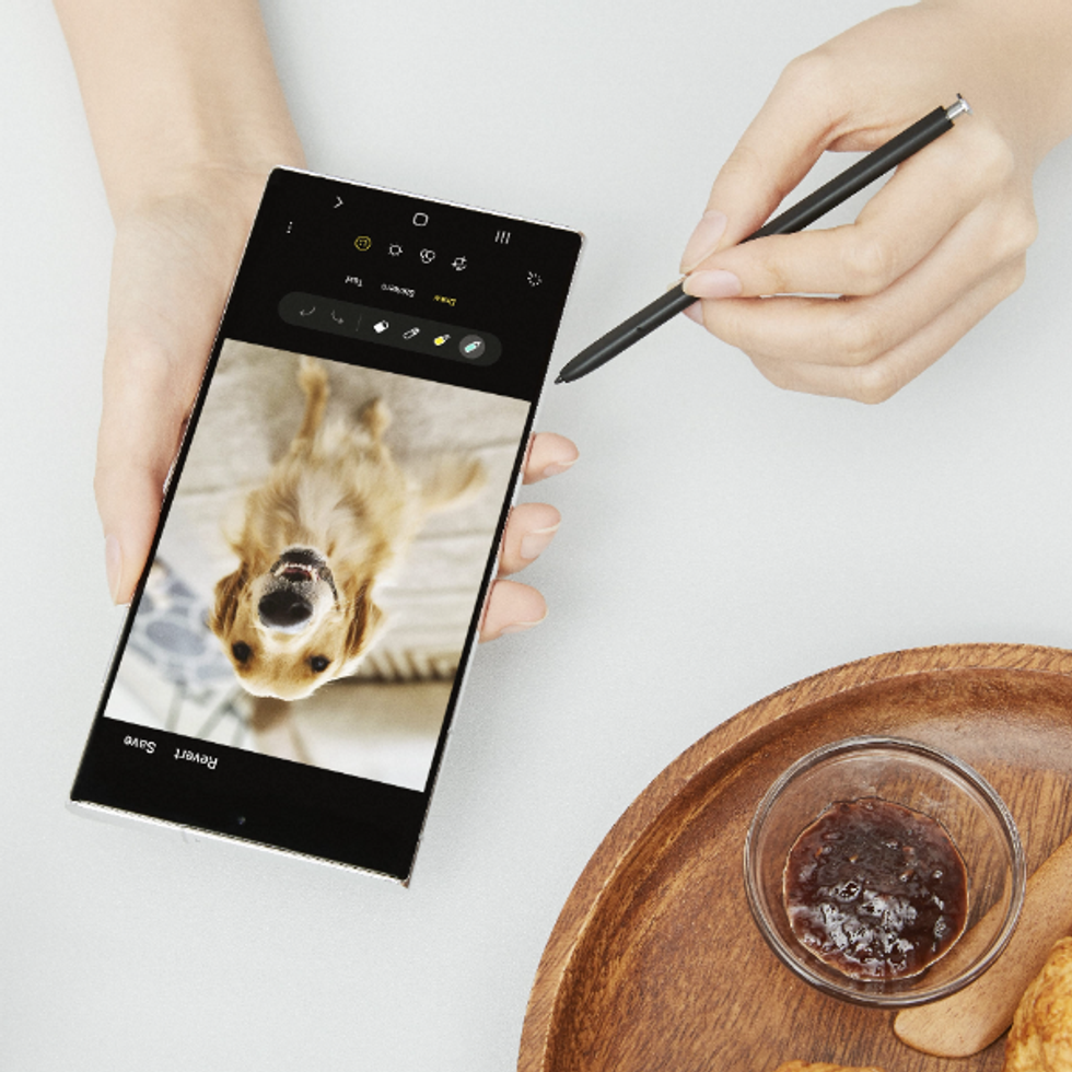 295333823 360750039556920 5327629704746699927 n