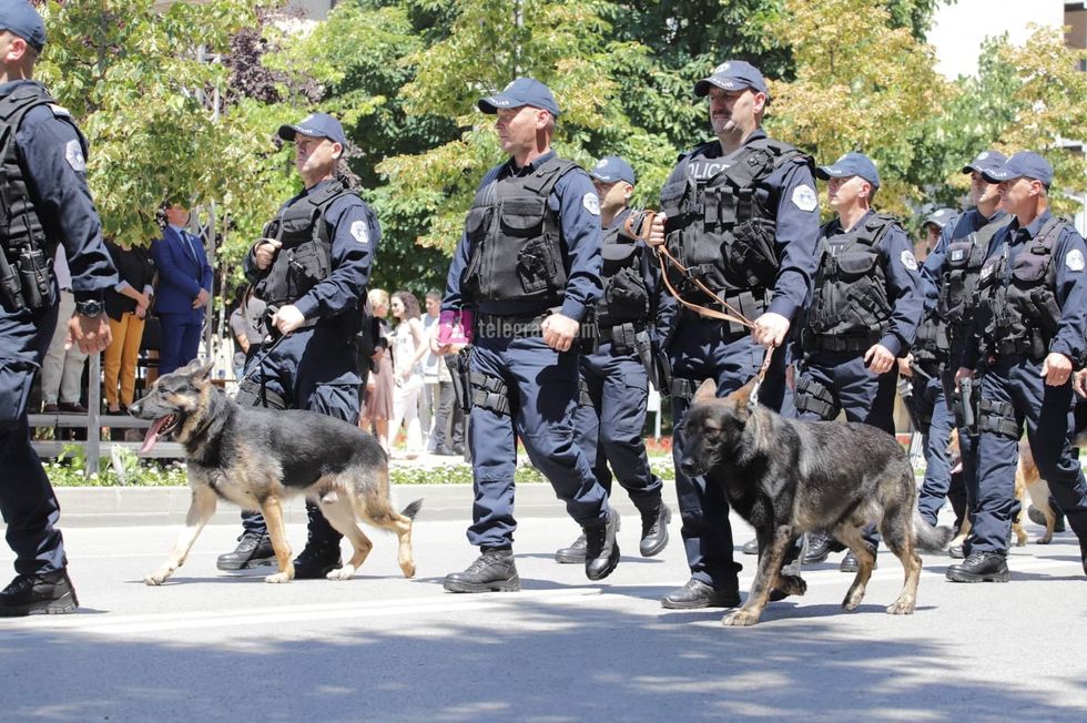 295432456 1210920686349410 3082793409483248756 n