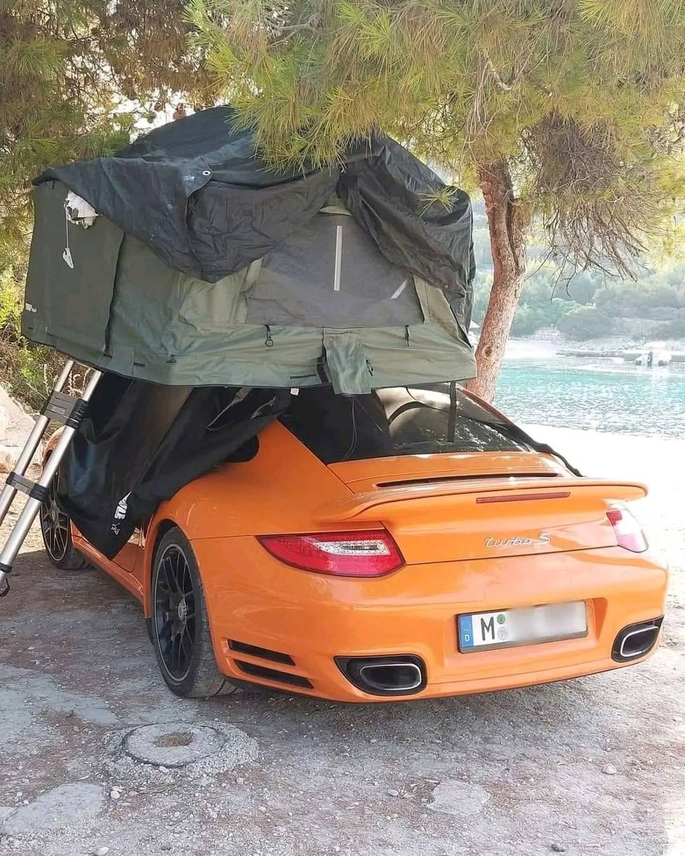 297412773 10228531813628485 5970350795639189837 n