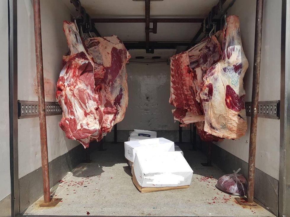 29793315 1749236225122205 5322226604510806016 o 1