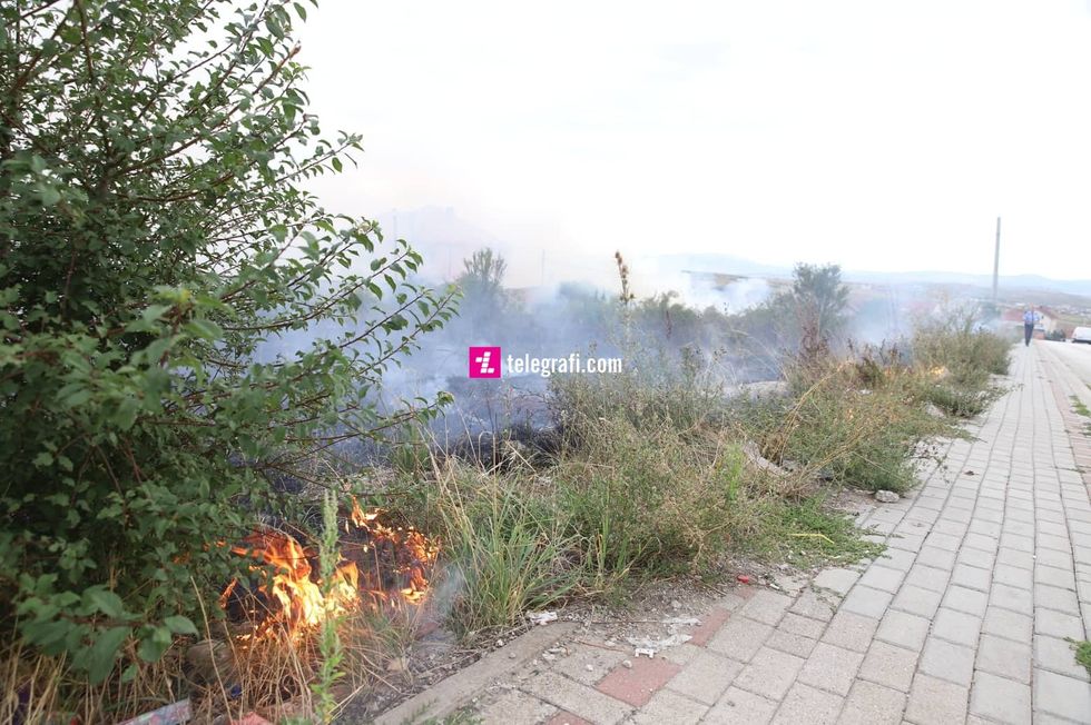 299111434 629441395217329 1651767518676808525 n 1