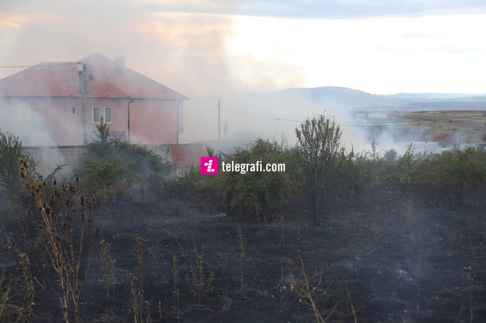 299300191 1055179885106670 9063721221773268305 n 1