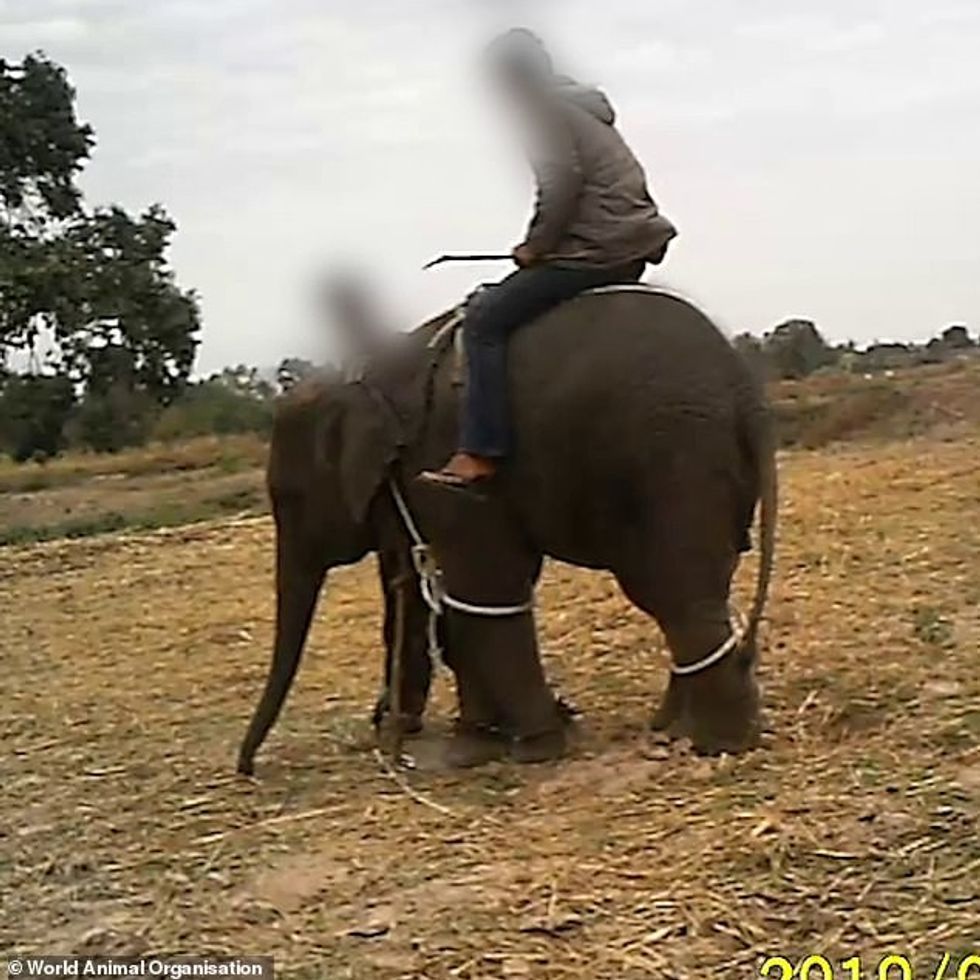 29953710 8450801 image a 4 1592912213766